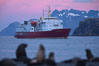 M/V Polar Star, an icebreaker expedition ship, lies at anchor in Right Whale Bay, South Georgia Island.  Antarctic fur seals on the beach, and the rugged South Georgia Island mountains in the distance.  Sunset, dusk. Image #24318