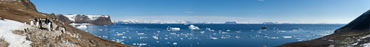 Adelie penguin colony, panoramic photograph. Devil Island, Antarctic Peninsula, Antarctica. Image #26313