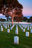 Fort Rosecrans National Cemetery. San Diego, California, USA. Image #26572