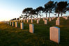 Fort Rosecrans National Cemetery. San Diego, California, USA. Image #26573