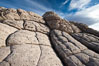 Brain Rocks at White Pocket. Vermillion Cliffs National Monument, Arizona, USA. Image #26604