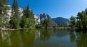 Yosemite Falls reflected in the Merced River, from Swinging Bridge.  The Merced  River is flooded with heavy springtime flow as winter snow melts in the high country above Yosemite Valley. Yosemite National Park, California, USA