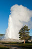 Old Faithful geyser, sunrise.  Reaching up to 185' in height and lasting up to 5 minutes, Old Faithful geyser is the most famous geyser in the world and the first geyser in Yellowstone to be named. Upper Geyser Basin, Yellowstone National Park, Wyoming, USA. Image #26939