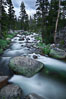 Dana Fork of the Tuolumne River, near Tioga Pass. Yosemite National Park, California, USA. Image #26998