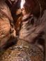 Kanarra Creek Canyon, Utah. Kanarraville, USA. Image #32637