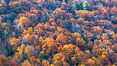 Blue Ridge Parkway Fall Colors, Asheville, North Carolina. USA. Image #34640