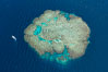 Aerial view of Mount Mutiny, a spectacular coral bommie in the Bligh Waters of Fiji. Vatu I Ra Passage, Viti Levu Island. Image #34689