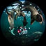 SCUBA Diver and Steller Sea Lions Underwater,  underwater photographer, Hornby Island, British Columbia, Canada. Image #36118