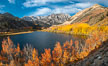 Sierra Nevada Fall Colors, North Lake, Bishop Creek Canyon. Bishop Creek Canyon, Sierra Nevada Mountains, California, USA. Image #36437
