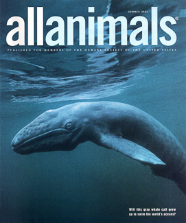 Cover of All Animals Magazine