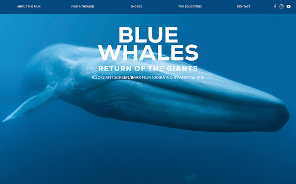 Blue Whale Film / SK Films