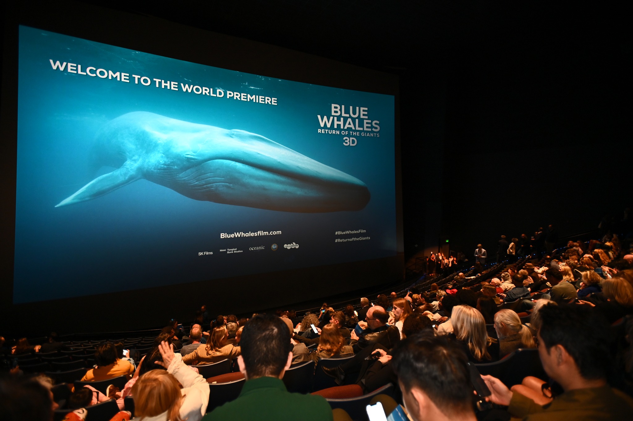 Blue Whale Film / SK Films