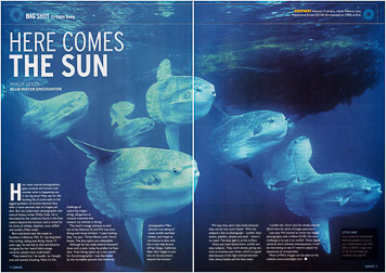 Mola School Spread Mola School Spread