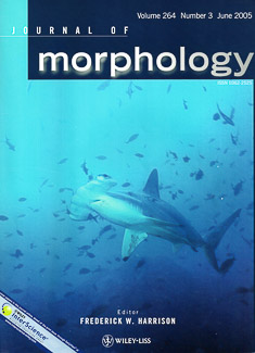 Cover of Morphology