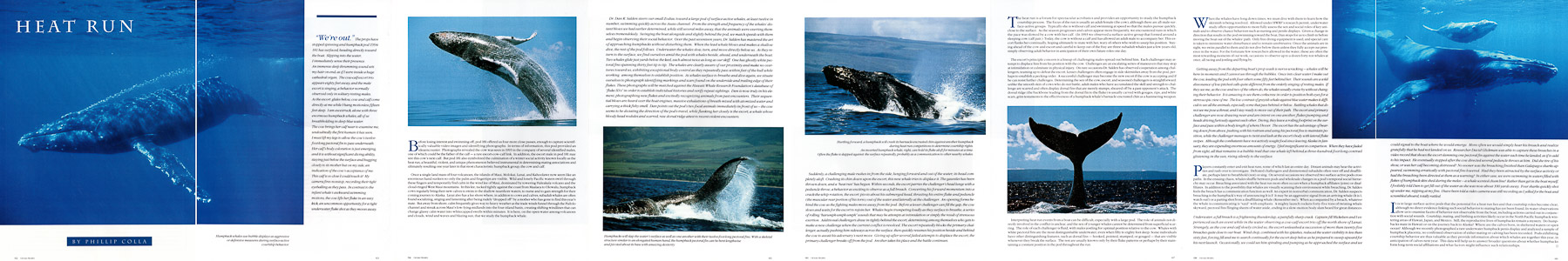 Ocean Realm Heat Run Article Ocean Realm Heat Run Article