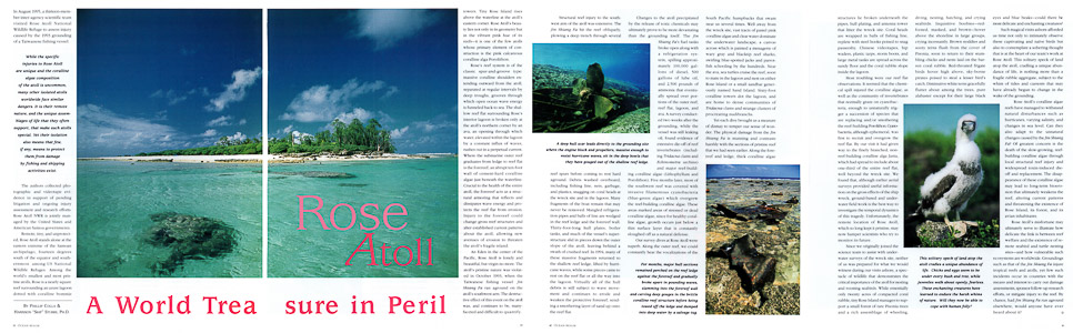 Ocean Realm Rose Atoll Article