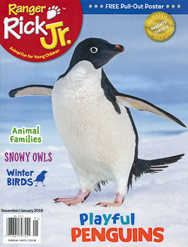 Ranger Rick Jr Cover, penguin
