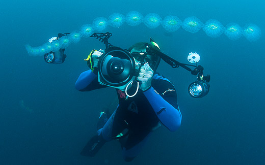 Photographing salps and zooplankton in the open ocean, photo by Mike Johnson / Earthwindow.com