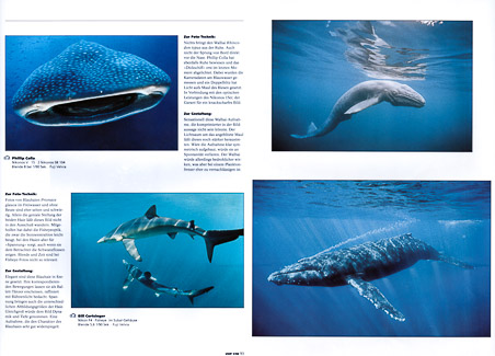 Unterwasser Spread Unterwasser Spread