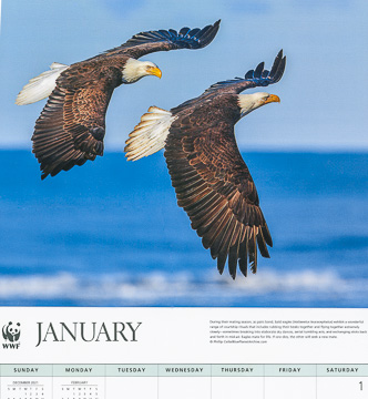 World Wildlife Fund Eagles 2022 calendar World Wildlife Fund Eagles 2022 calendar