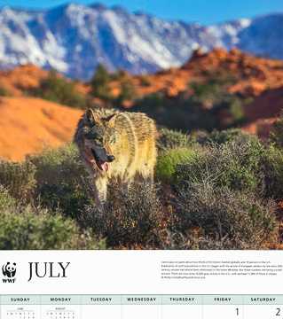World Wildlife Fund Wolves 2022 calendar