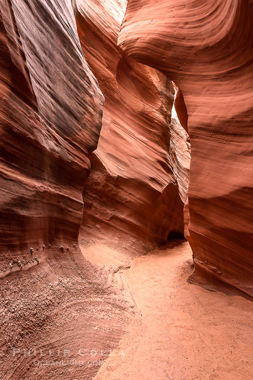 Rattlesnake Canyon, a beautiful slot canyon that is part of the larger Antelope Canyon system. Page, Arizona.