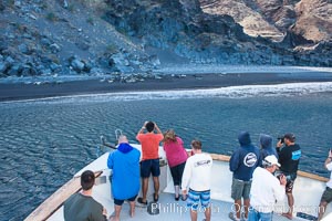 Viewing northern elephant seals along the beach, from the vessel Horizon, at Guadalupe Island