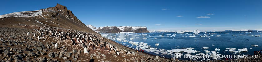 Adelie penguin colony (Pygoscelis adeliae), panoramic photograph, Devil Island, Antarctic Peninsula.