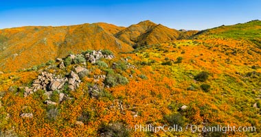 Aerial Photo of California Poppies in Bloom, Elsinore