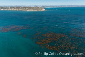 Aerial Photo of Kelp Forests at Cabrillo State Marine Reserve, Point Loma, San Diego