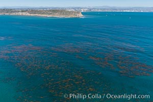 Aerial Photo of Kelp Forests at Cabrillo State Marine Reserve, Point Loma, San Diego