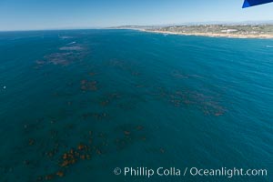 Aerial Photo of Kelp Forests at Cabrillo State Marine Reserve, Point Loma, San Diego