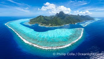 Aerial Panorama of the Barrier Reef around Moorea Island, French Polynesia. The outer reef slope is seen adjacent to deep blue oceanic water with white waves breaking against the reef edge. Next, a wide shallow reef flat occurs dotted with coral bommies. Inside of that, a shallow protected lagoon is formed against the island. Tall, rugged, eroded mountains are seen hinting at the age of the ancient volcano that originally formed the island and that is now sinking back down, leaving the encircling reef behind, Megaptera novaeangliae