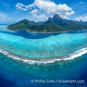 Aerial Panorama of the Barrier Reef around Moorea Island, French Polynesia. The outer reef slope is seen adjacent to deep blue oceanic water with white waves breaking against the reef edge. Next, a wide shallow reef flat occurs dotted with coral bommies. Inside of that, a shallow protected lagoon is formed against the island. Tall, rugged, eroded mountains are seen hinting at the age of the ancient volcano that originally formed the island and that is now sinking back down, leaving the encircling reef behind, Megaptera novaeangliae