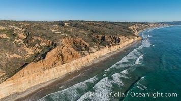 Torrey Pines seacliffs, rising up to 300 feet above the ocean, stretch from Del Mar to La Jolla. On the mesa atop the bluffs are found Torrey pine trees, one of the rare species of pines in the world., natural history stock photograph, photo id 30735