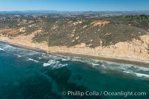 Torrey Pines seacliffs, rising up to 300 feet above the ocean, stretch from Del Mar to La Jolla. On the mesa atop the bluffs are found Torrey pine trees, one of the rare species of pines in the world, Torrey Pines State Reserve, San Diego, California