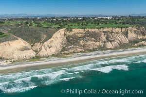 Torrey Pines seacliffs, rising up to 300 feet above the ocean, stretch from Del Mar to La Jolla. On the mesa atop the bluffs are found Torrey pine trees, one of the rare species of pines in the world, Torrey Pines State Reserve, San Diego, California