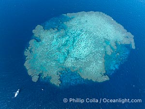 Aerial View of the Famous Deepwater Bommie E6, Fiji