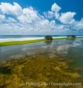 Aerial view of the lagoon inside Clipperton Island.  The lagoon within the atoll was formerly open to the ocean but has been closed and stagnant for many decades. Some experts believe erosion will open the lagoon up to the ocean again soon. Clipperton Island, a minor territory of France also known as Ile de la Passion, is a spectacular coral atoll in the eastern Pacific. By permit HC / 1485 / CAB (France)