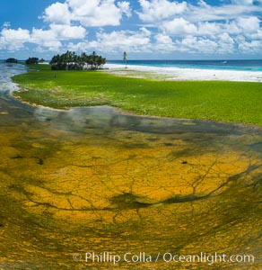 Aerial view of the lagoon inside Clipperton Island.  The lagoon within the atoll was formerly open to the ocean but has been closed and stagnant for many decades. Some experts believe erosion will open the lagoon up to the ocean again soon. Clipperton Island, a minor territory of France also known as Ile de la Passion, is a spectacular coral atoll in the eastern Pacific. By permit HC / 1485 / CAB (France)