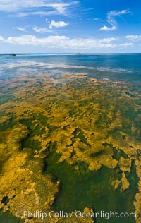 Aerial view of the lagoon inside Clipperton Island.  The lagoon within the atoll was formerly open to the ocean but has been closed and stagnant for many decades. Some experts believe erosion will open the lagoon up to the ocean again soon. Clipperton Island, a minor territory of France also known as Ile de la Passion, is a spectacular coral atoll in the eastern Pacific. By permit HC / 1485 / CAB (France)