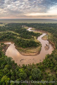 Aerial view of the Mara River with crocodiles and hippos, Maasai Mara, Kenya.  Photo taken while hot air ballooning at sunrise.