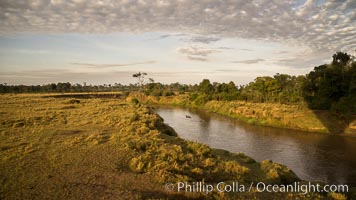 Aerial view of the Mara River, Maasai Mara, Kenya.  Photo taken while hot air ballooning at sunrise, Maasai Mara National Reserve