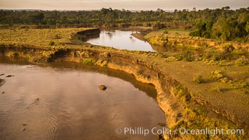 Aerial view of the Mara River, Maasai Mara, Kenya.  Photo taken while hot air ballooning at sunrise, Maasai Mara National Reserve