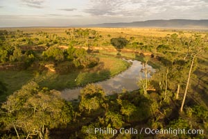 Aerial view of the Mara River, Maasai Mara, Kenya.  Photo taken while hot air ballooning at sunrise, Maasai Mara National Reserve