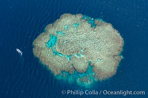 Aerial view of Mount Mutiny, a spectacular coral bommie in the Bligh Waters of Fiji, Vatu I Ra Passage