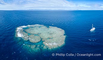 Aerial view of Mount Mutiny, a spectacular deepwater coral bommie in the Bligh Waters of Fiji, Vatu I Ra Passage