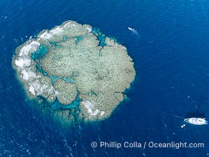 Aerial view of Mount Mutiny, a spectacular deepwater coral bommie in the Bligh Waters of Fiji, Vatu I Ra Passage