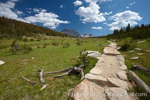 Alpine meadow and John Muir Trail, in Yosemite's high country on approach to Vogelsang High Sierra Camp, Yosemite National Park, California