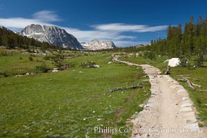 Alpine meadow and John Muir Trail, in Yosemite's high country on approach to Vogelsang High Sierra Camp, Yosemite National Park, California